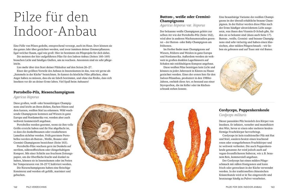 InsideView 7