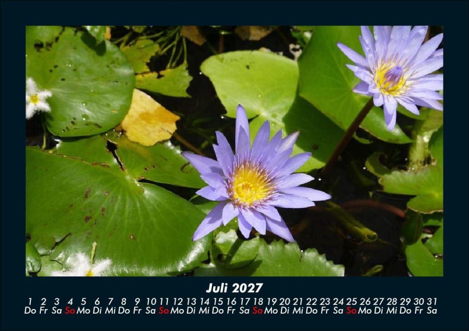 InsideView 11