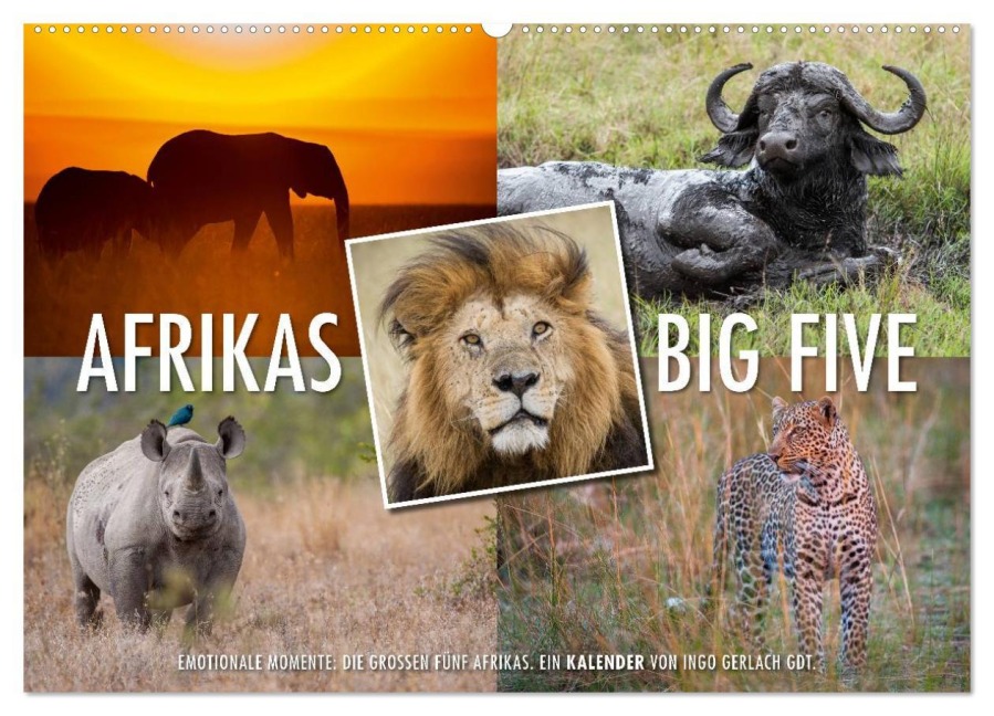 Emotionale Momente: Afrikas Big Five (Wandkalender 2026 DIN A2 quer), CALVENDO Monatskalender - Ingo Gerlach GDT