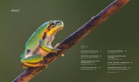 InsideView 1