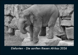 Cover-Bild zum Titel 'Elefanten - Die sanften Riesen Afrikas 2026 Fotokalender DIN A5' von 'Tobias Becker'