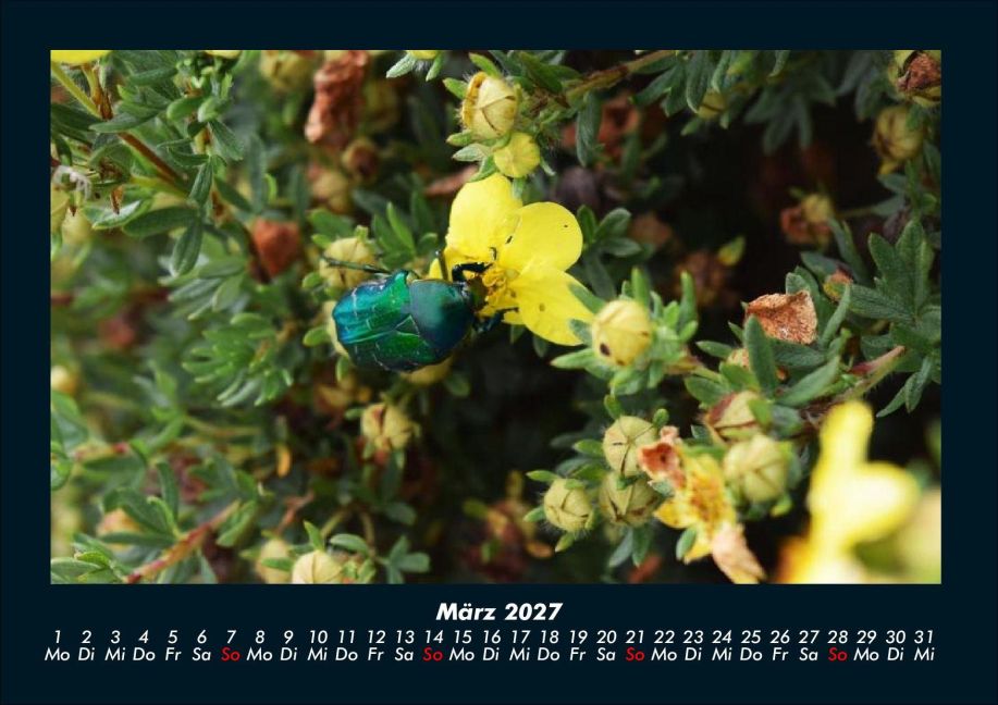 InsideView 7