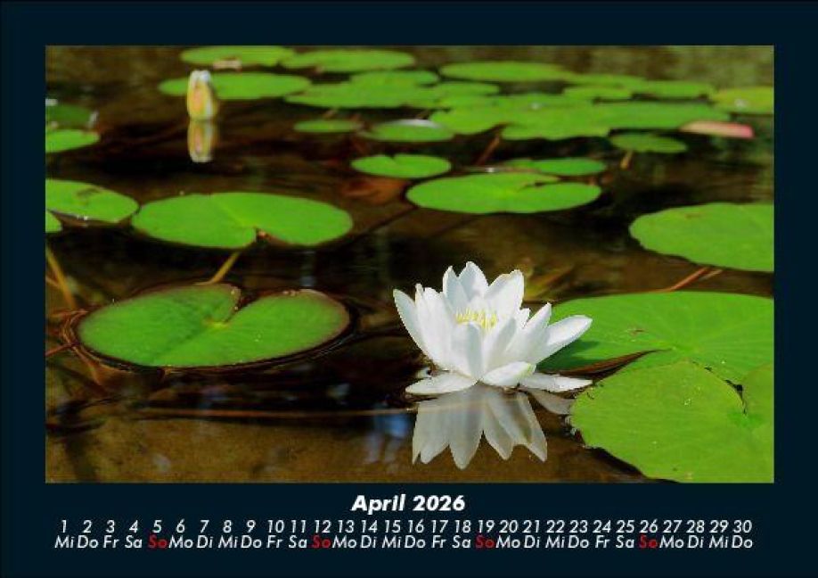 InsideView 8