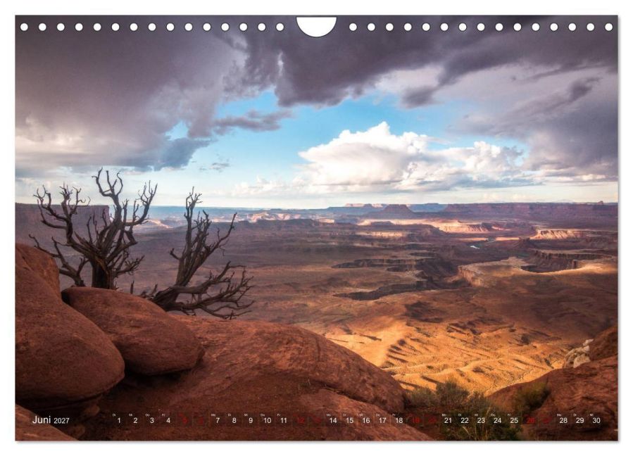 InsideView 11