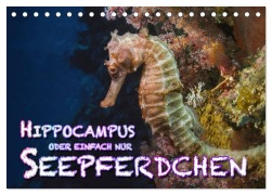 Cover-Bild zum Titel 'Hippocampus oder einfach nur Seepferdchen (Tischkalender 2027 DIN A5 quer), CALVENDO Monatskalender' von 'Dieter Gödecke'