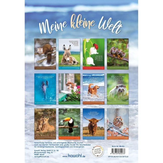 InsideView 13