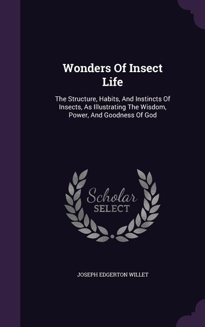 Wonders Of Insect Life - Joseph Edgerton Willet
