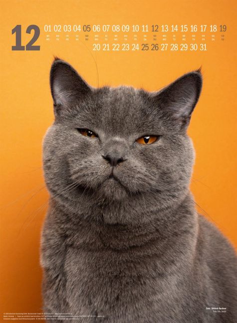 InsideView 12