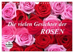 Cover-Bild zum Titel 'Die vielen Gesichter der Rosen (Wandkalender 2026 DIN A4 quer), CALVENDO Monatskalender' von 'Gisela Kruse'