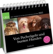 Postkartenkalender 2025: Von Pechvögeln und bunten Hunden - Geo