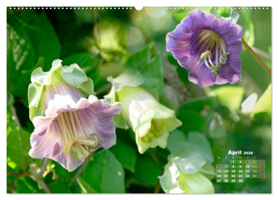 InsideView 8