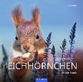 Leben mit Eichhörnchen in der Stadt - Tine Meier