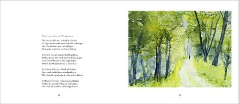 InsideView 5