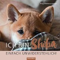 Cover-Bild zum Titel 'Ich bin Shiba. Einfach unwiderstehlich!' von ''