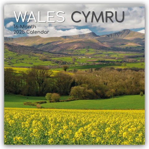 Wales 2025 - 16-Monatskalender - The Gifted