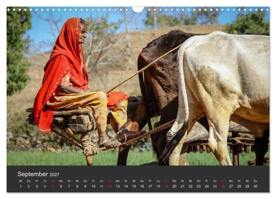 InsideView 14