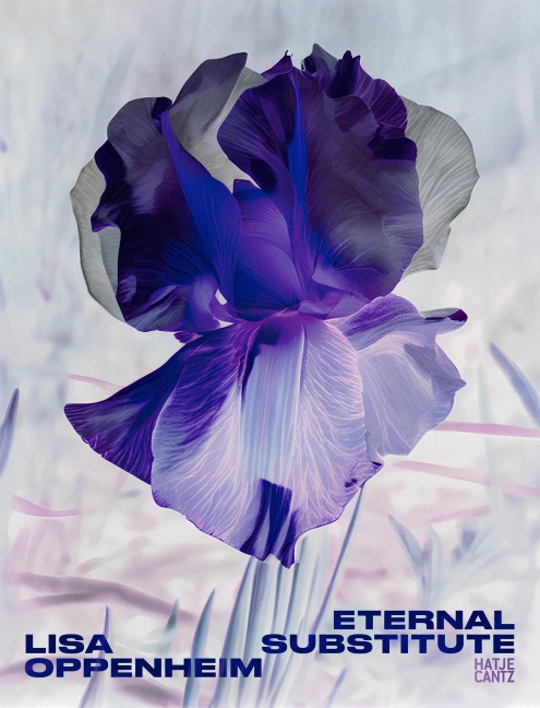 Lisa Oppenheim: The Eternal Substitute - 