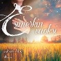 Cover-Bild zum Titel 'Esimerkin vuoksi' von 'Juhani Aho'