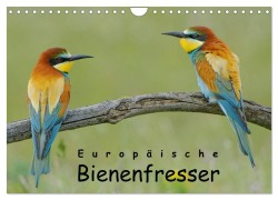 Europäische Bienenfresser (Wandkalender 2026 DIN A4 quer), CALVENDO Monatskalender - Gerald Wolf