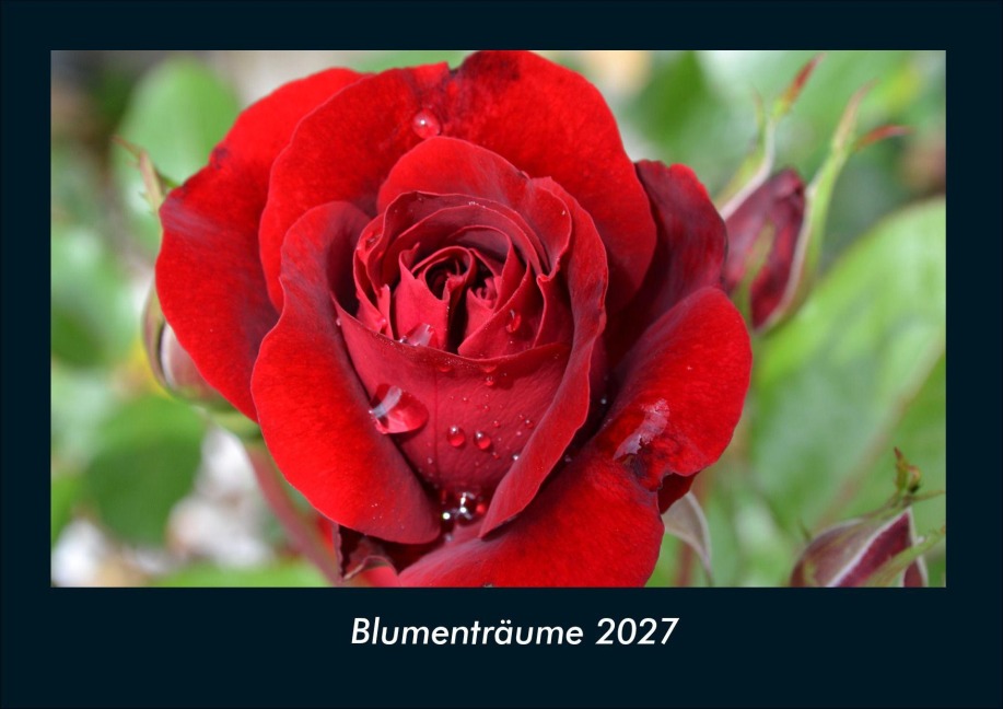 Blumenträume 2027 Fotokalender DIN A4 - Tobias Schmitt, Kevin Heber