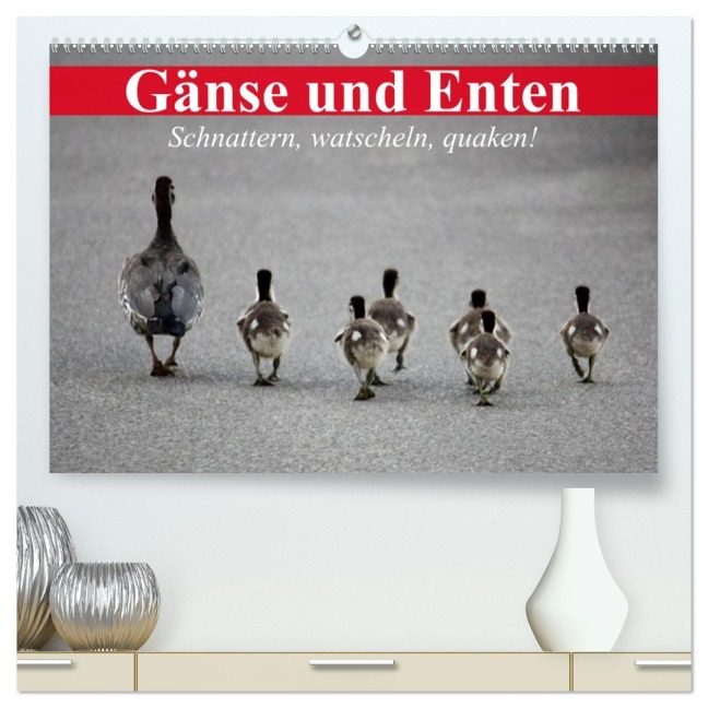 Gänse und Enten. Schnattern, watscheln, quaken! (hochwertiger Premium Wandkalender 2026 DIN A2 quer), Kunstdruck in Hochglanz - Elisabeth Stanzer