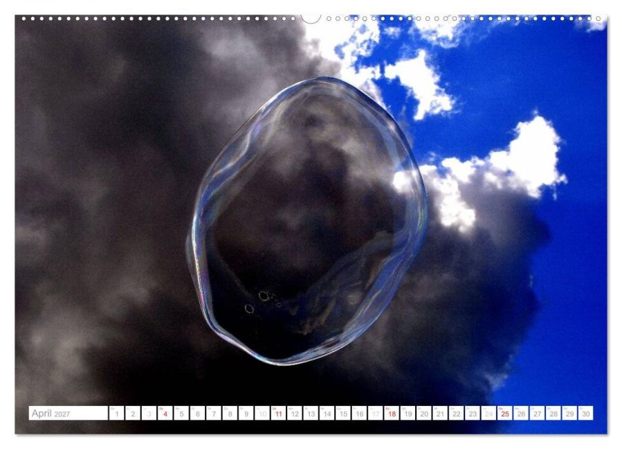 InsideView 8