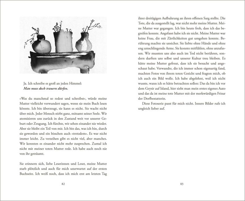 InsideView 12