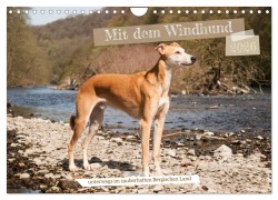 Cover-Bild zum Titel 'Mit dem Windhund unterwegs im zauberhaften Bergischen Land (Wandkalender 2026 DIN A4 quer), CALVENDO Monatskalender' von 'Meike Bölts'