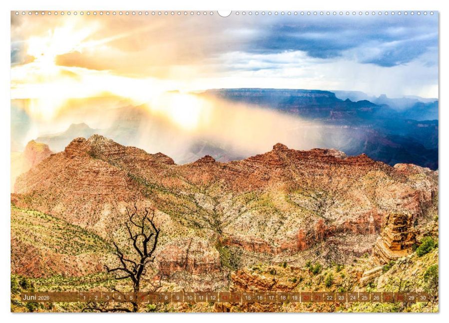 InsideView 10