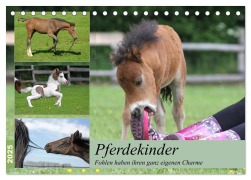 Pferdekinder - Fohlen haben ihren ganz eigenen Charme (Tischkalender 2025 DIN A5 quer), CALVENDO Monatskalender - Barbara Mielewczyk