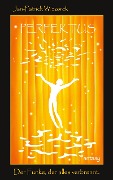 Cover-Bild zum Titel 'Perfektus' von 'Jan-Patrick Wiezorek'