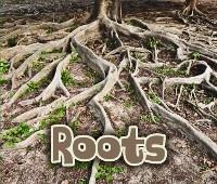 All About Roots - Claire Throp
