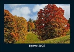 Cover-Bild zum Titel 'Bäume 2026 Fotokalender DIN A5' von 'Tobias Becker'