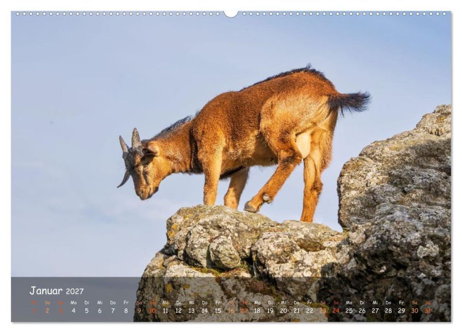 InsideView 5