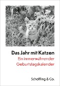 Das Jahr mit Katzen - Julia Bachstein