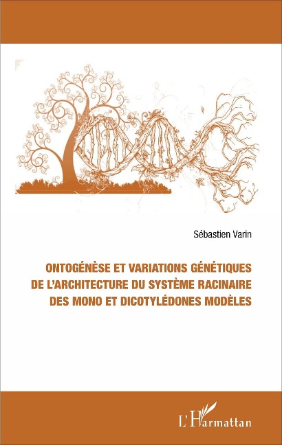 Ontogénèse et variations génétiques de l'architecture du système racinaire des mono et dicotylédones modèles - Varin