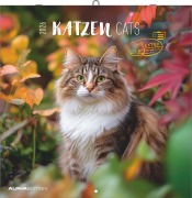 Cover-Bild zum Titel 'Katzen 2026 - Broschürenkalender 30x30 cm (30x60 geöffnet) - Kalender mit Platz für Notizen - Cats - Bildkalender - Wandplaner - Katzenkalender' von ''