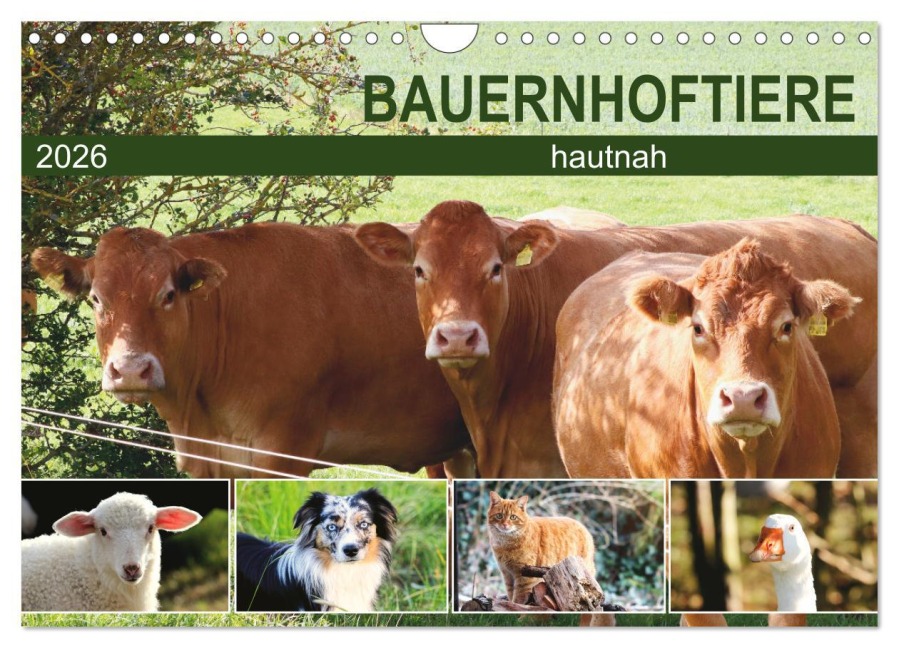 Bauernhoftiere hautnah (Wandkalender 2026 DIN A4 quer), CALVENDO Monatskalender - Sabine Löwer
