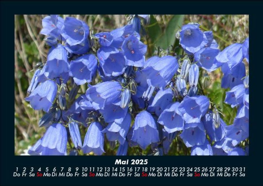 InsideView 9