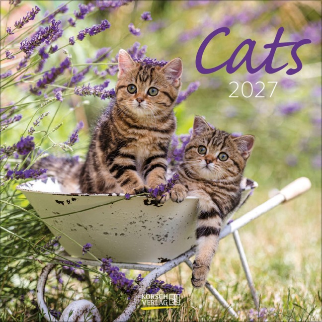 Cats 2027 - 