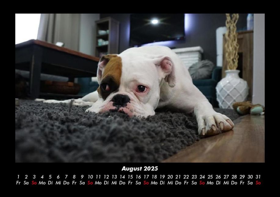 InsideView 12