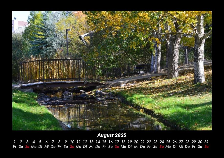 InsideView 12