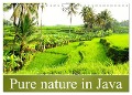 Pure nature in Java (Wall Calendar 2024 DIN A4 landscape), CALVENDO 12 Month Wall Calendar - Bianca Schumann