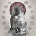 Cover-Bild zum Titel 'This Is The Sound' von 'Cellar Darling'