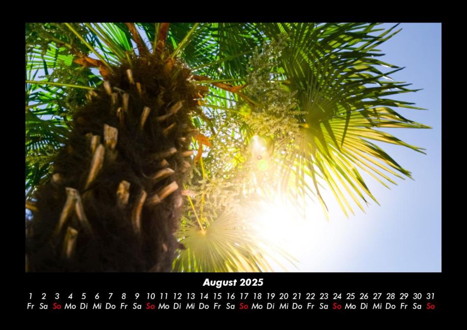 InsideView 12