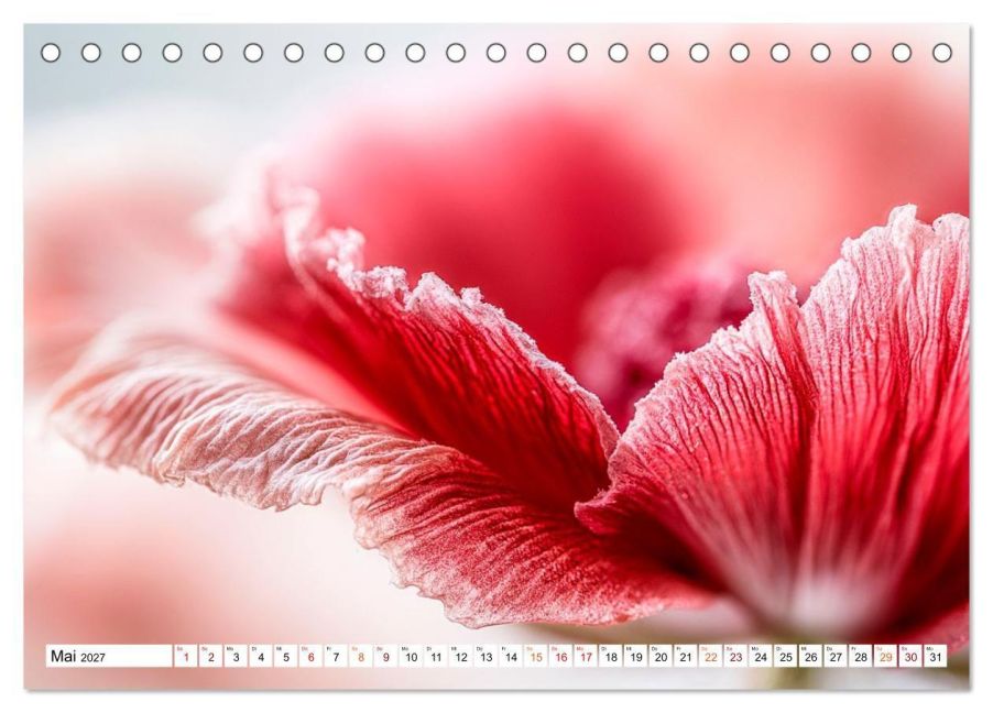 InsideView 10