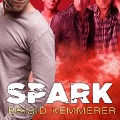 Spark - Brigid Kemmerer