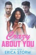 Cover-Bild zum Titel 'Crazy About You' von 'Erica Storm'