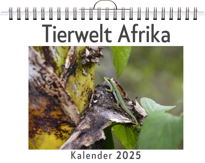 Tierwelt Afrika - Lucy Braun