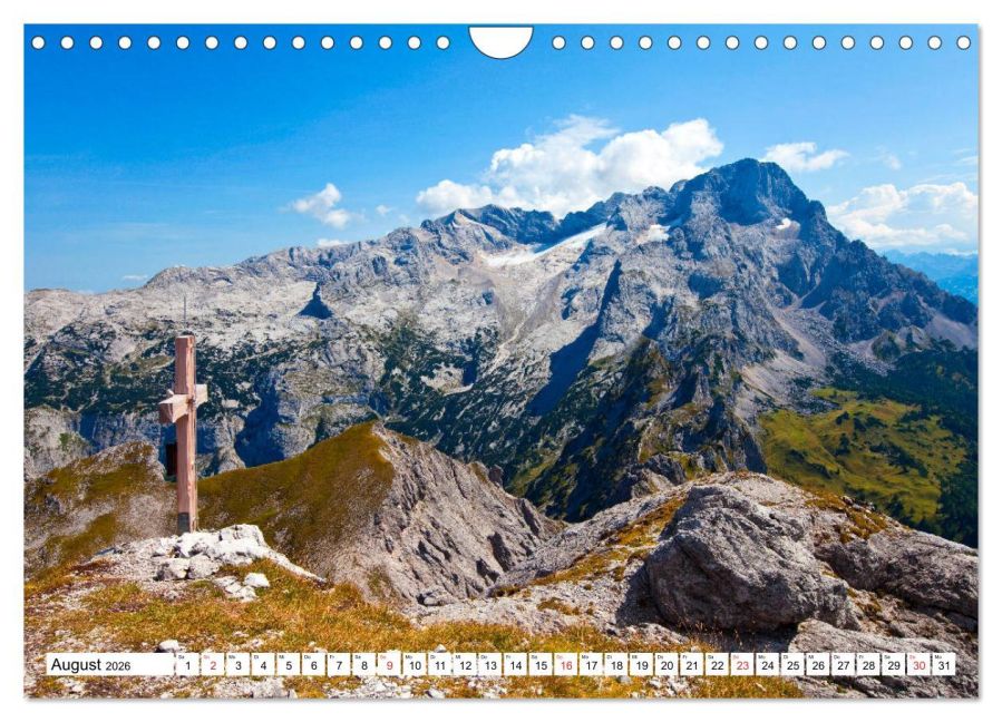 InsideView 13